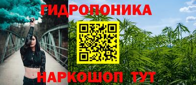 герыч Боровичи