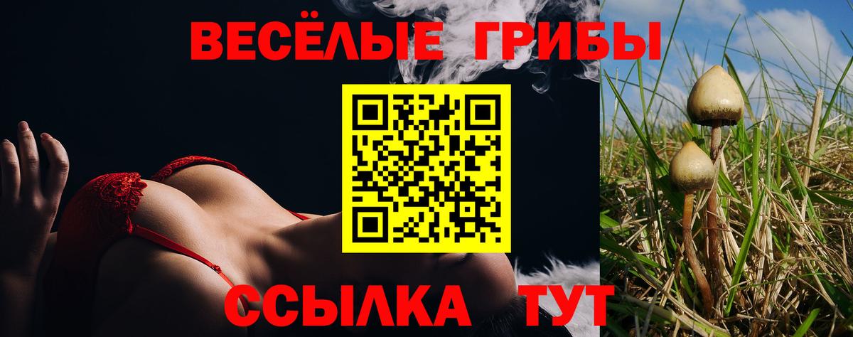 Псилоцибиновые грибы GOLDEN TEACHER  Галлюциногенные грибы MAGIC MUSHROOMS  Ачхой-Мартан  Вход с VPN 