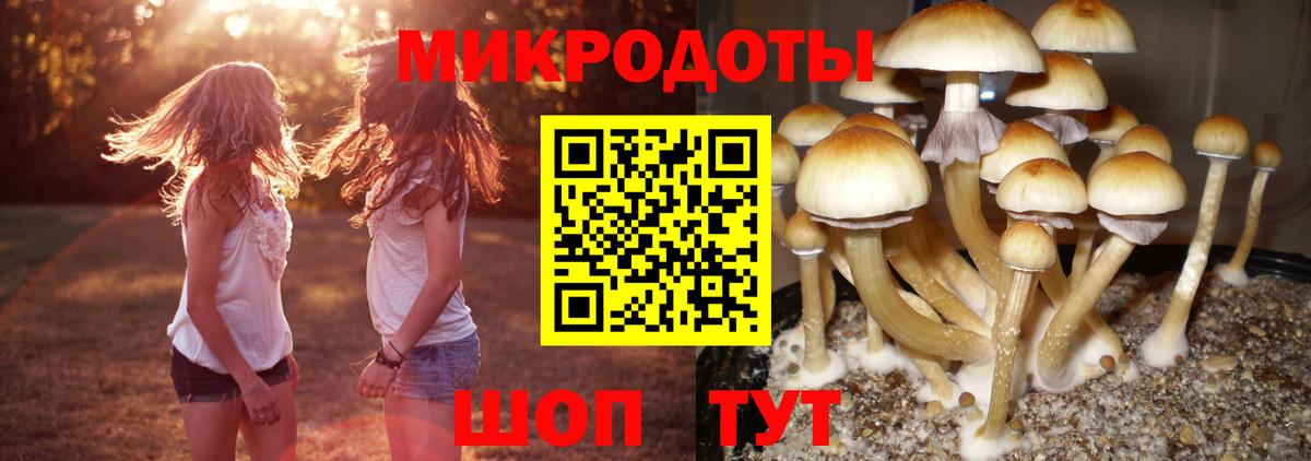 Псилоцибиновые грибы ЛСД Ачхой-Мартан